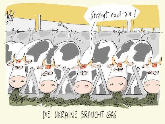 ukraine braucht gas