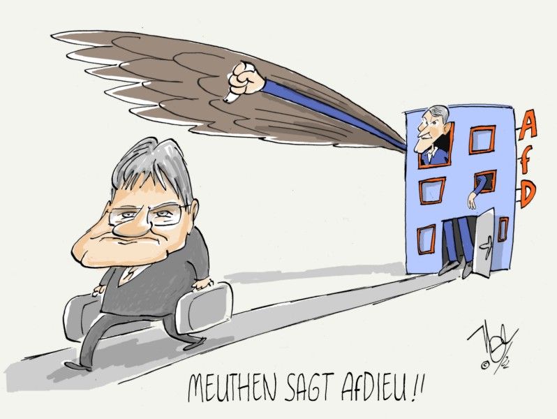 afd höcke meuthen geht adieu