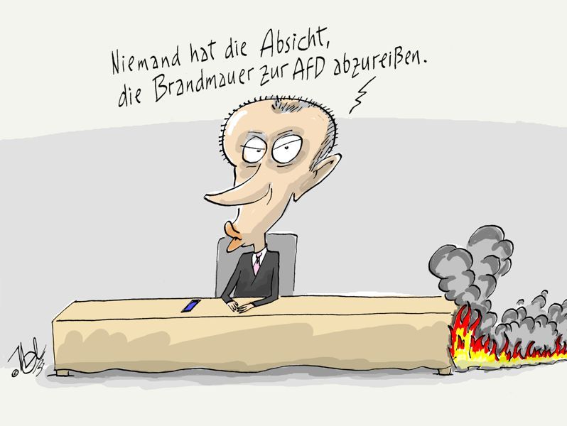 CDU merz brandmauer zur afd