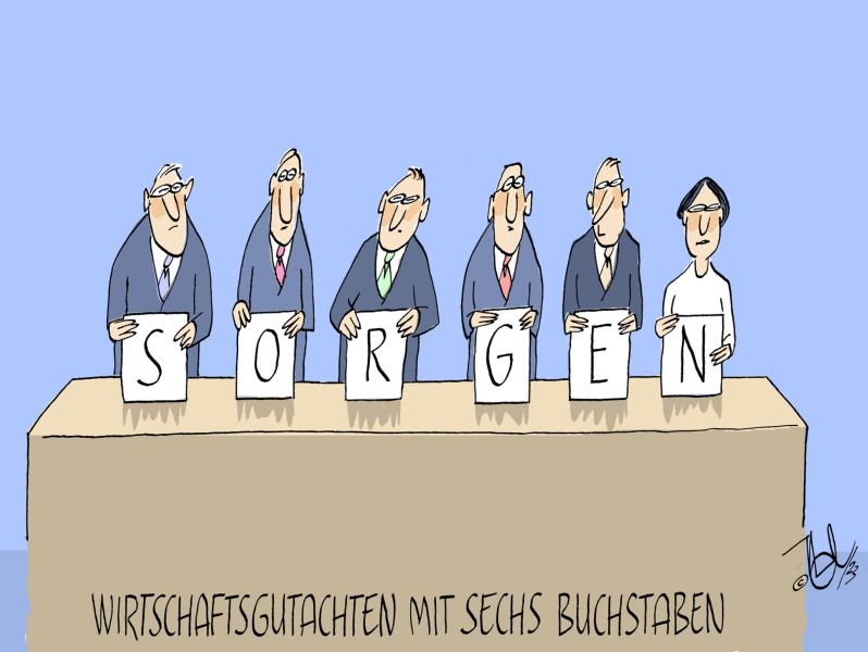 wirtschaftsgutachten mit sechs buchstaben sorgen