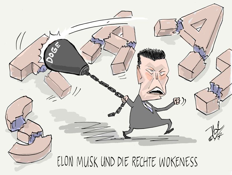 elon musk rechtes wokeness staatliche strukturen zerschlagen